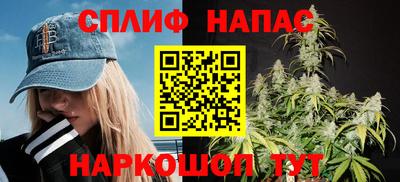 СК Тула