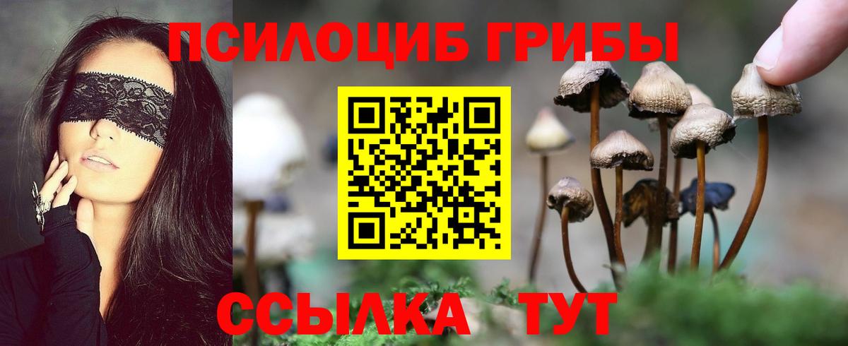 Псилоцибиновые грибы прущие грибы Ачинск
